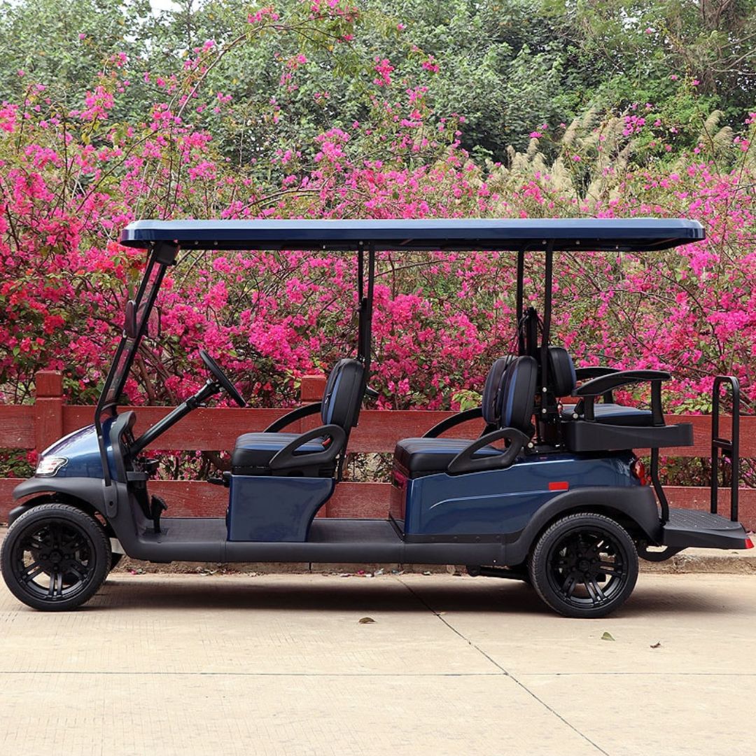 6 person bintelli golf cart